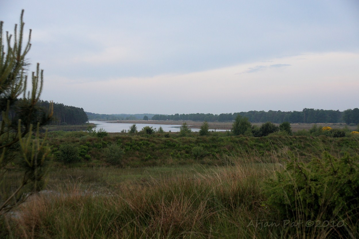 Lekker vroeg in de ochtend: Ons domein voor vandaag: Holtveen en omgeving.