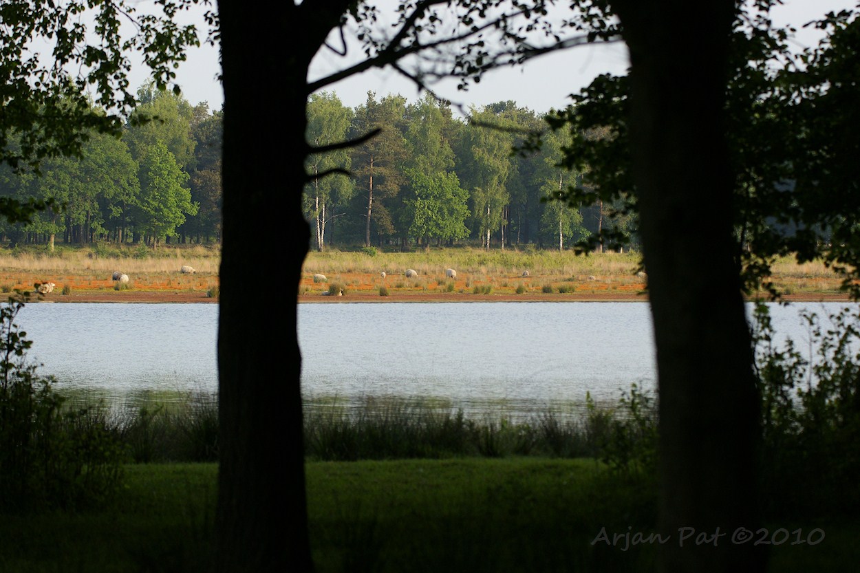 Holtveen gezien vanuit het Nuilerbosch