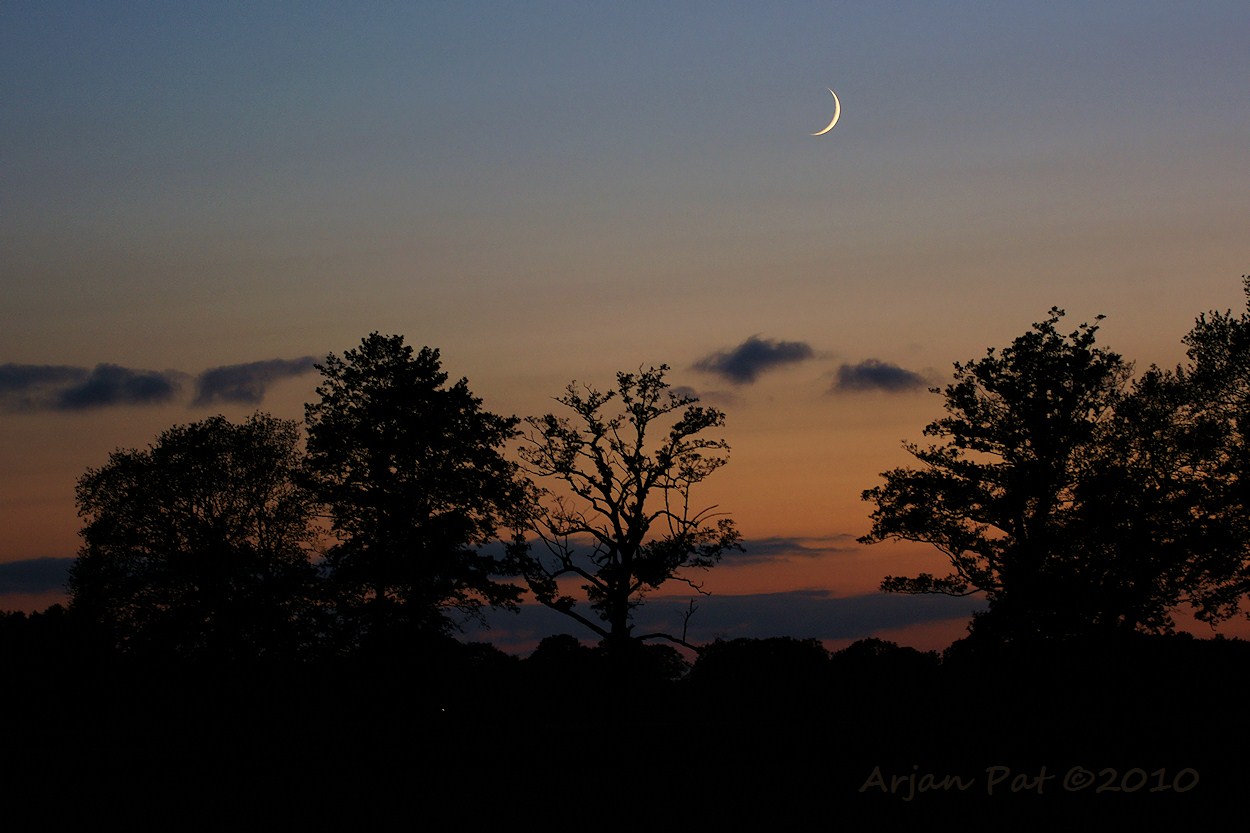 Zonsondergang met maan