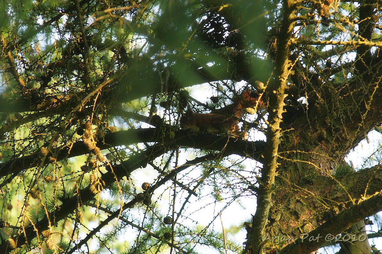 Nieuwschierig zijn ze ook wel weer.
