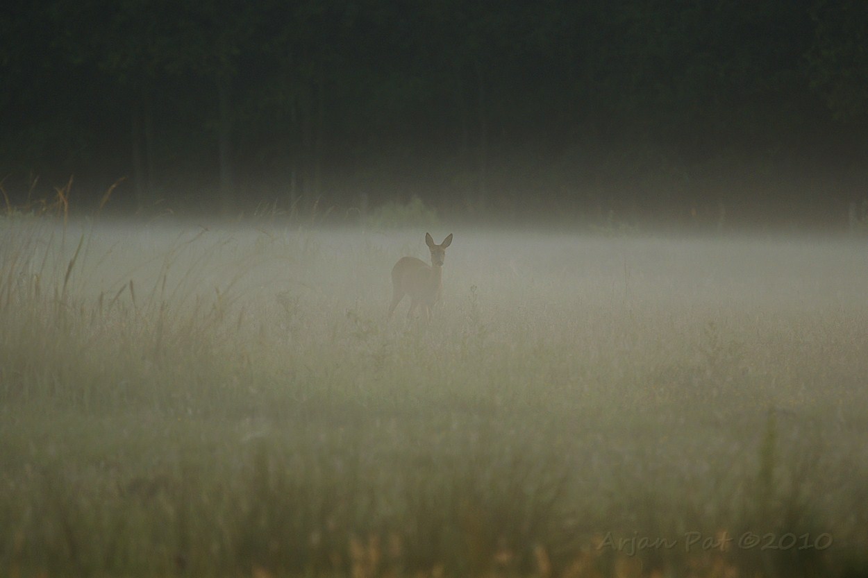 Mama-ree nog een keer.