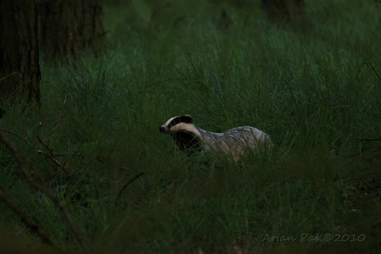 Deze foto geeft meer een impressie hoe donker het op dat moment eigenlijk was.
