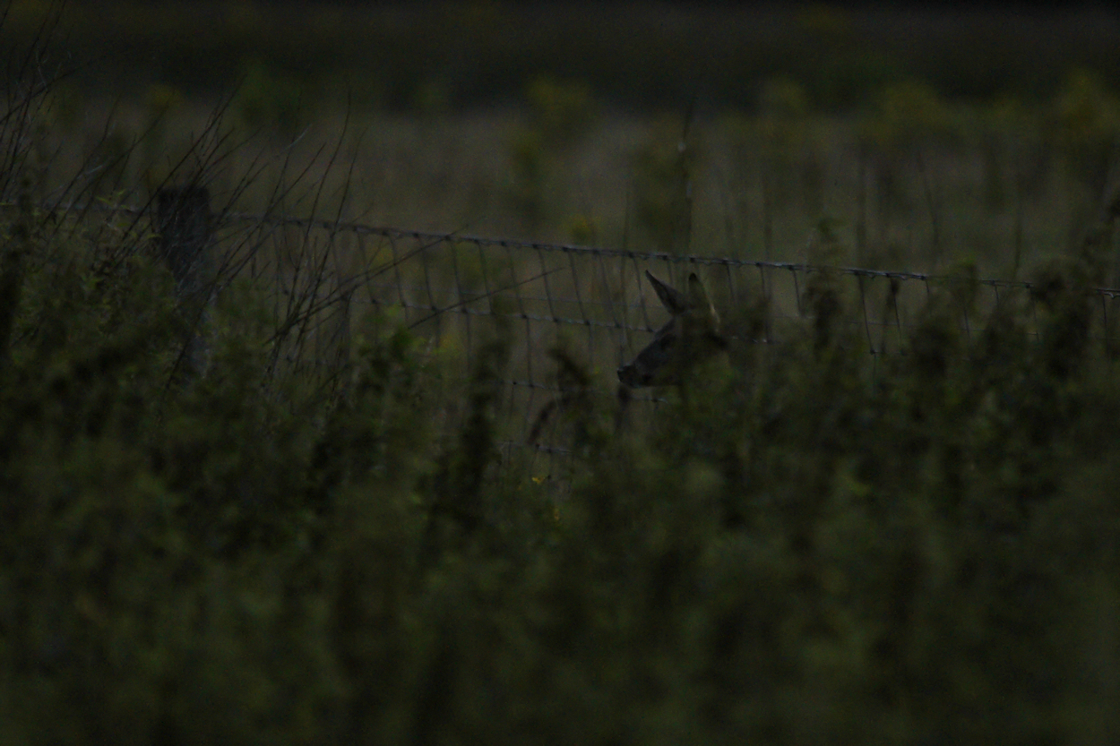 Reegeit; waar is ie, ben ik hem kwijt?