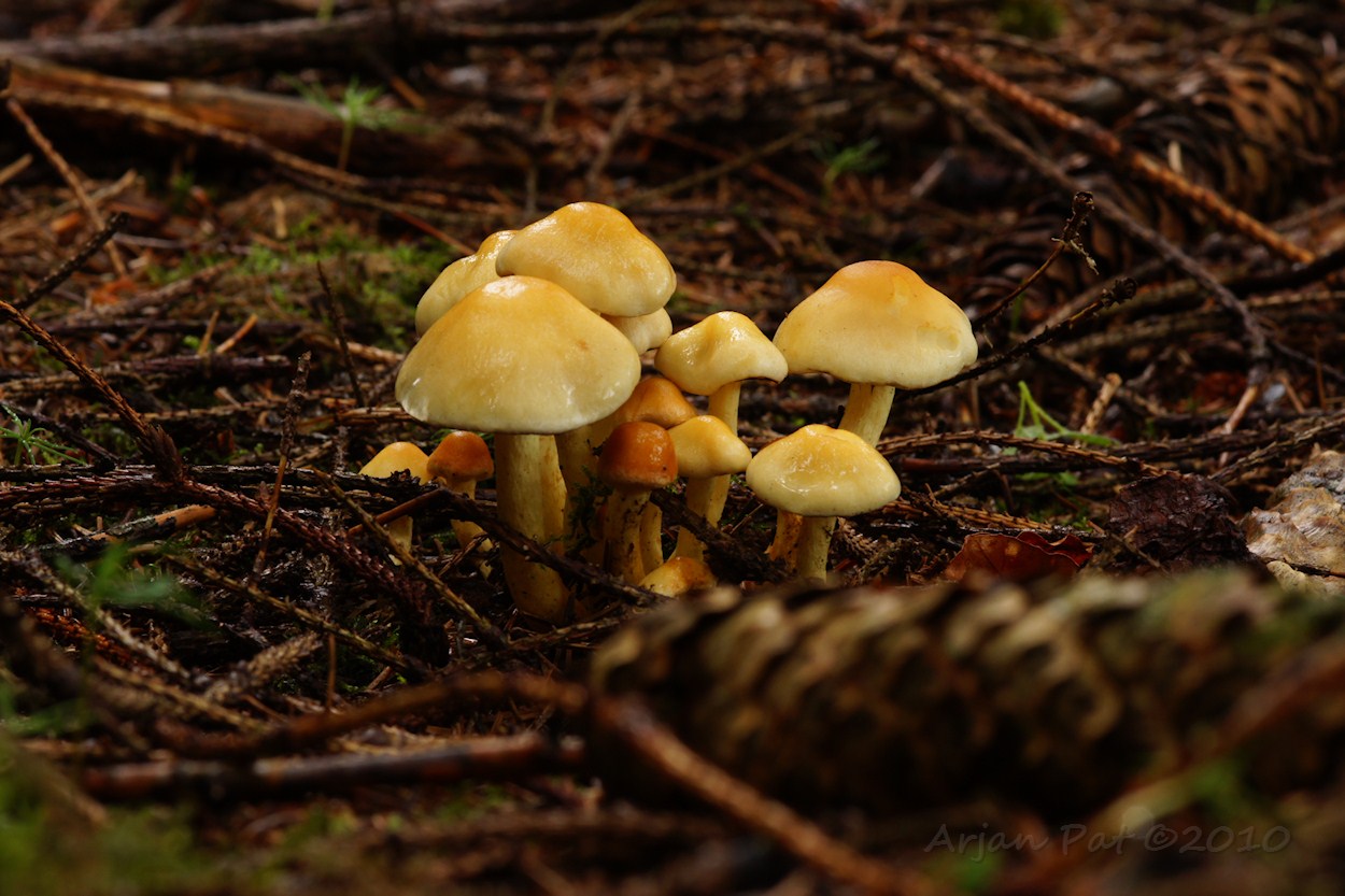 Boswachterij Hooghalen (28 augustus 2010)