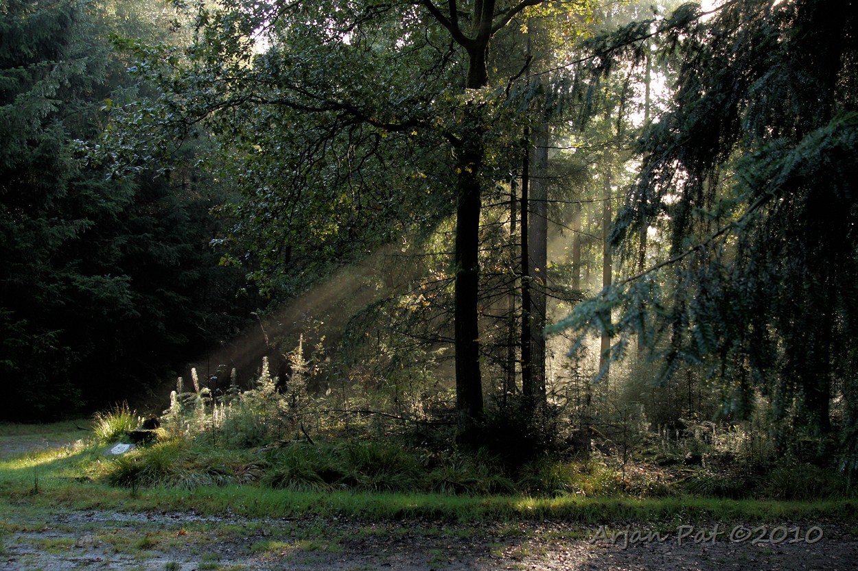 In de loop van de ochtend kwam het zonnetje er voorzichtig bij.
