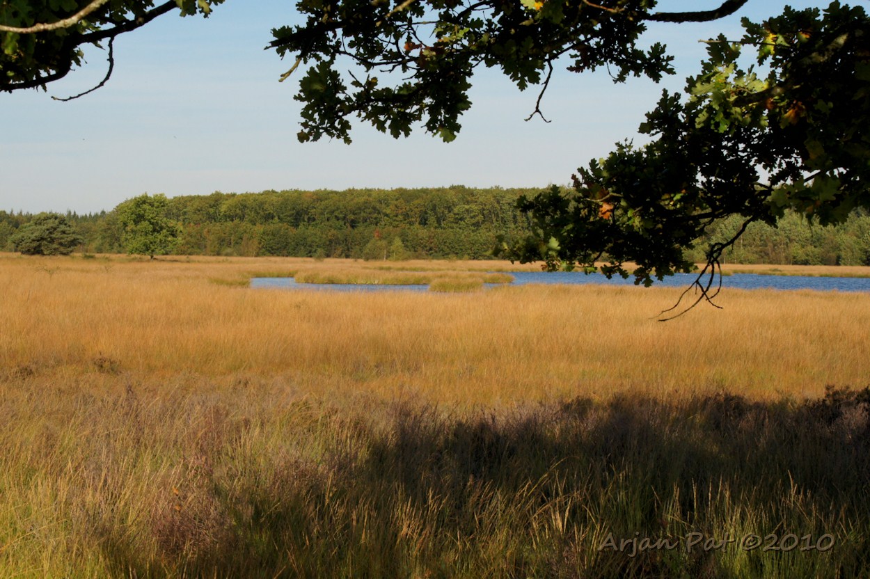 Het begint herfst te worden; de bomen in de verte beginnen langzaamaan een kleurtje te krijgen.