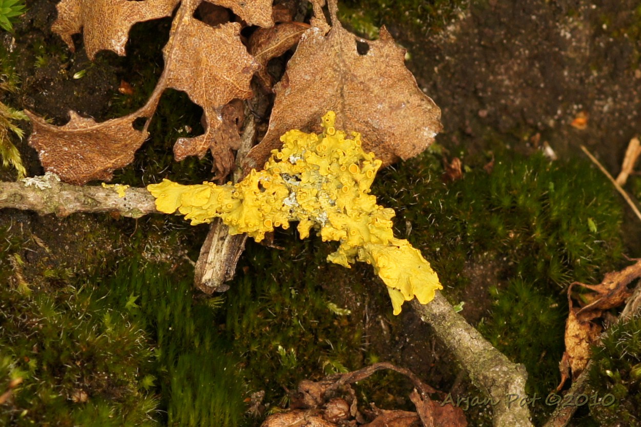 Omgeving Rolde (5 oktober 2010)