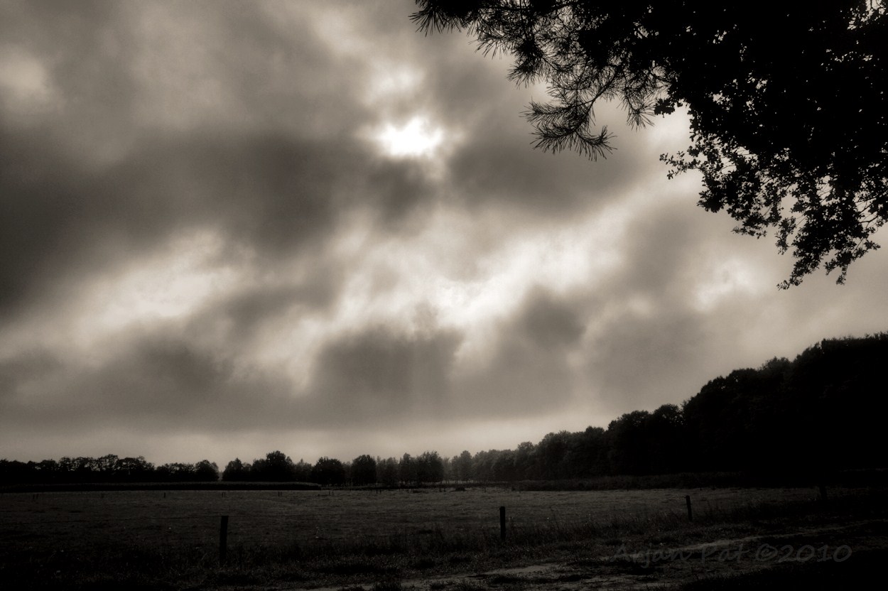 Een enkele keer dat de zon zich even liet zien. Deze grijze ochtend maar niet al te zwart-wit opvatten.