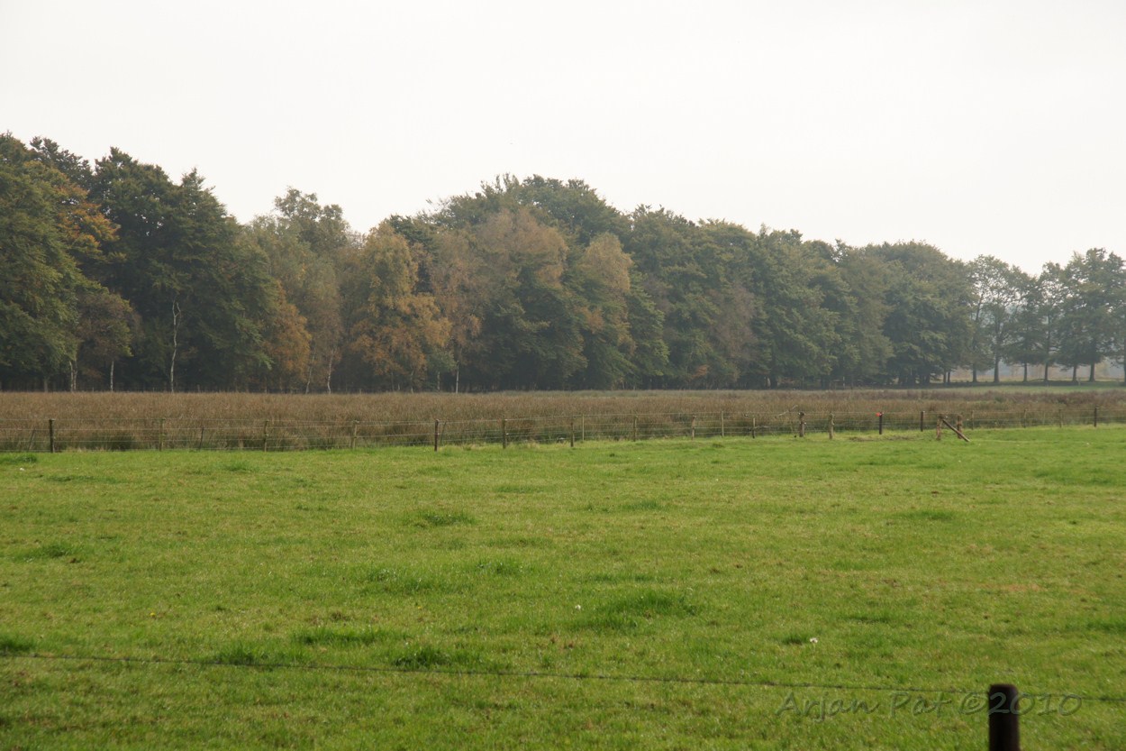 Maar met iets meer kleur: De bladeren beginnen namelijk langzaam te verkleuren en te vallen. De ene boomsoort wat vroeger dan de ander.