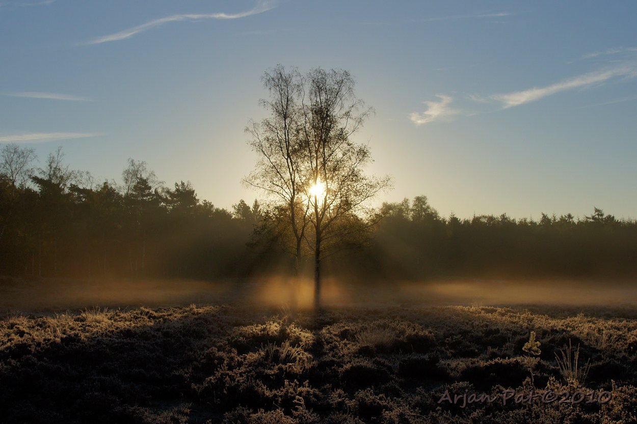 Zonnestralen streelden de boomtoppen en drongen door op het heideveld, waar het nog een beetje nevelde