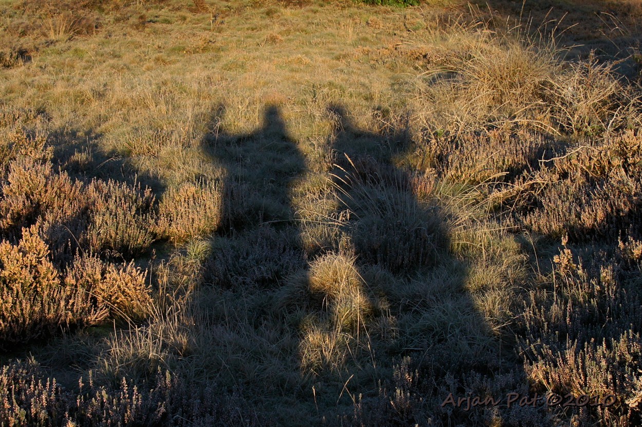 Twee rare snuiters op de hei